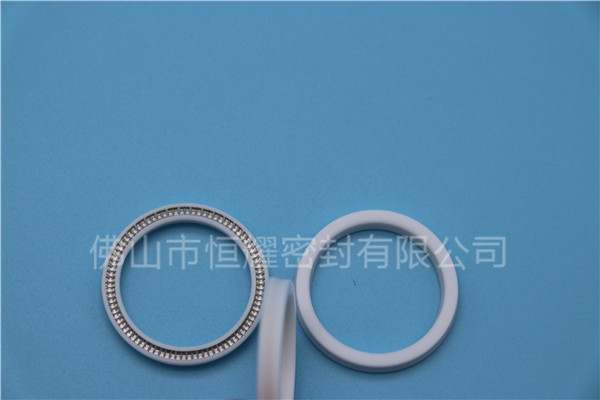 HOA、HVA轴用泛塞封 (16)