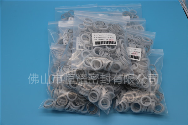 HOB、HVB孔用泛塞封 (17)
