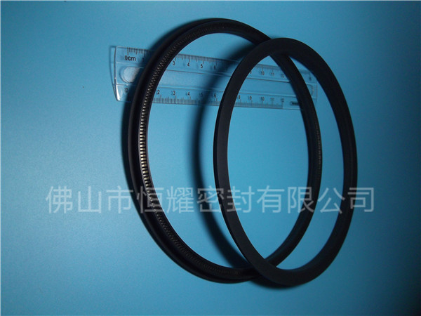 HOD、HVD旋转泛塞封 (15)