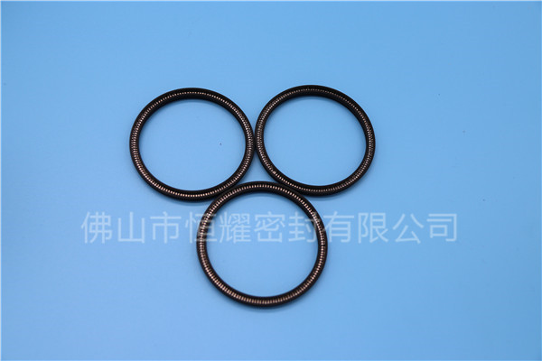 HOC、HVC孔轴两用泛塞封 (24)