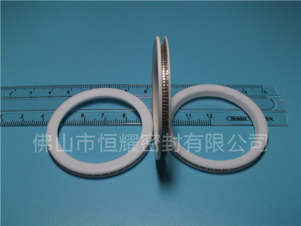 HVF、HVG端面内、外向泛塞封 (10)