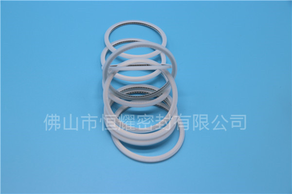 HVF、HVG端面内、外向泛塞封 (15)