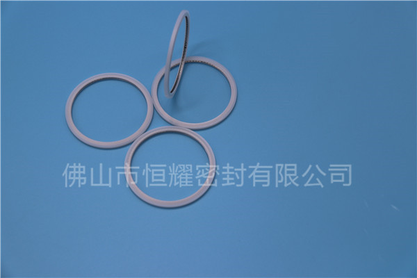 HVF、HVG端面内、外向泛塞封 (20)