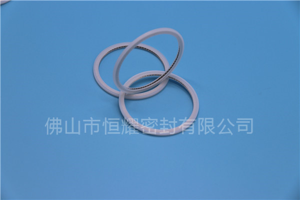 HVF、HVG端面内、外向泛塞封 (21)