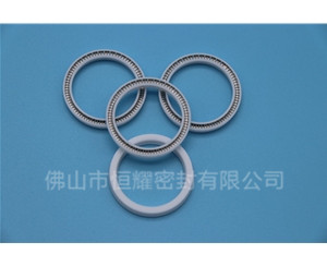 HOA、HVA轴用泛塞封 (13)