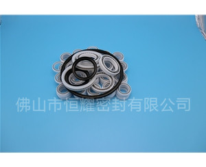 HOB、HVB孔用泛塞封 (6)