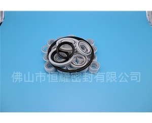 HOB、HVB孔用泛塞封 (7)