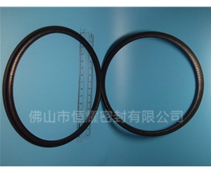 HOD、HVD旋转泛塞封 (13)