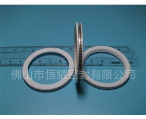HVF、HVG端面内、外向泛塞封 (10)