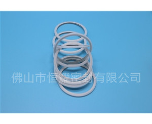 HVF、HVG端面内、外向泛塞封 (15)