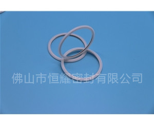 HVF、HVG端面内、外向泛塞封 (21)